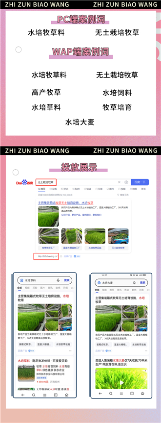 百搜標(biāo)王包年推廣案例